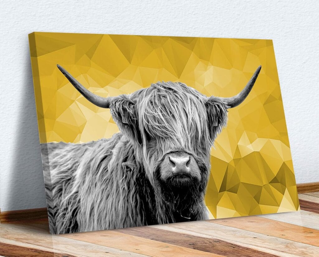 Highland Cow Canvas Wall Art yellow