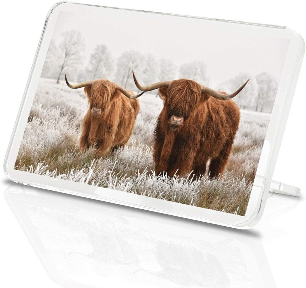 Highland Cow Fridge Magnet