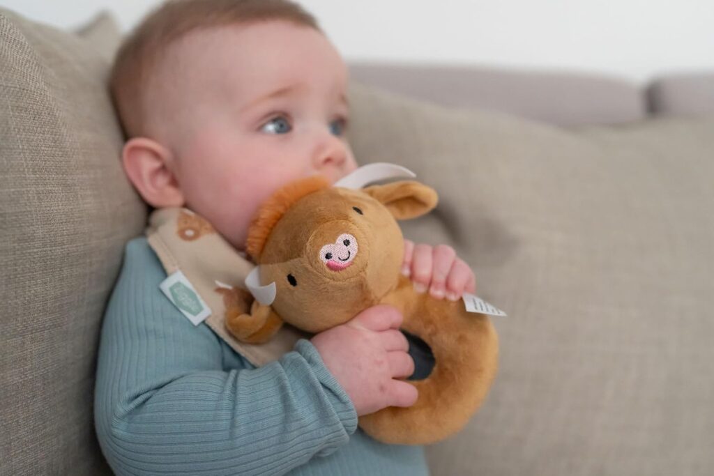 Highland Cow Plush Baby Rattle